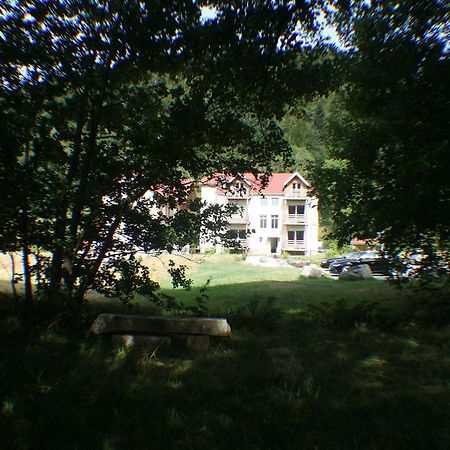 Residence Du Chateau Lublin La Bresse Exterior foto