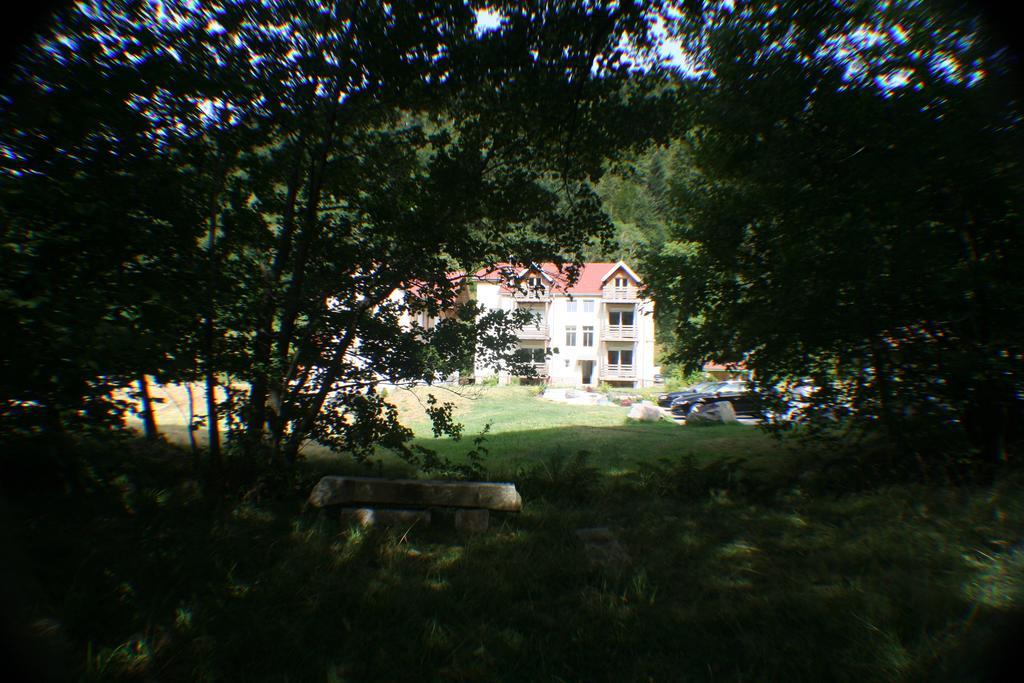 Residence Du Chateau Lublin La Bresse Exterior foto